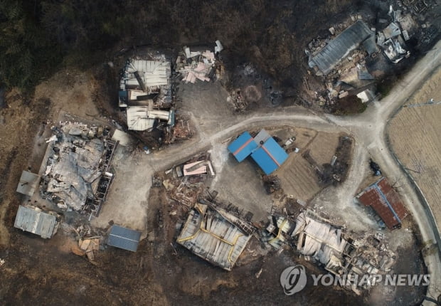 [동해안 산불] 심한 연기·안개로 헬기 투입 난항…진화 교착상태