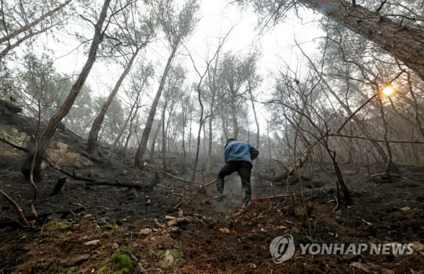 [동해안 산불] 심한 연기·안개로 헬기 투입 난항…진화 교착상태