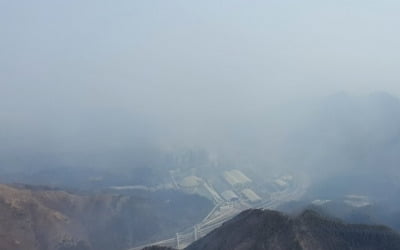 [동해안 산불] 주불진화 기대했는데…'연무' 복병에 헬기 진화 차질