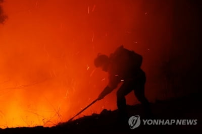 [동해안 산불] 최전선 진화대원 불갈퀴 하나로 불길·추위와 '밤샘 사투'