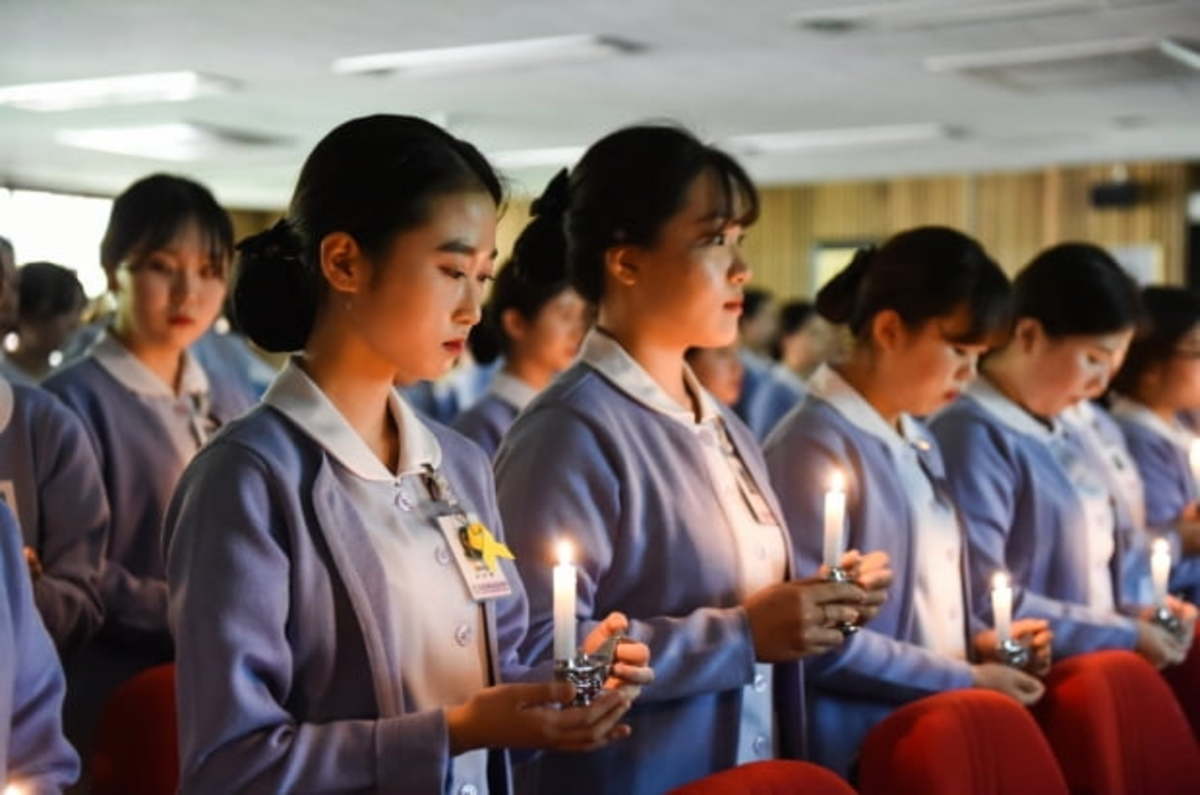 조선대 간호학과 간호사 국가시험 100 합격 | 한경닷컴