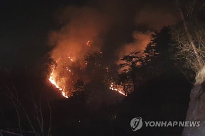 [동해안 산불] 7일째 접어든 야간 산불 대응…"험한 지형에 악전고투"