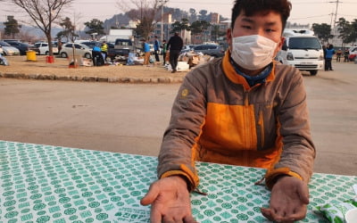 [동해안 산불] 영주서 소 키우다 달려와 5일째 산불 끄는 자원봉사자