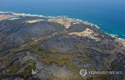 강원경찰, 산불피해지 교통 과태료 면제·납부유예