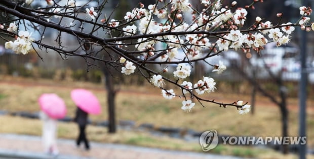 전국 대부분 비 또는 눈…미세먼지 '좋음'