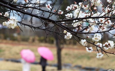 전국 대부분 비 또는 눈…미세먼지 '좋음'