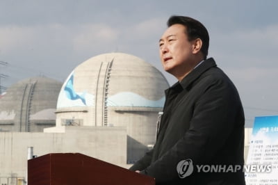 인수위, 산업부에 "신한울 3·4호기 재개 속도내라" 요구