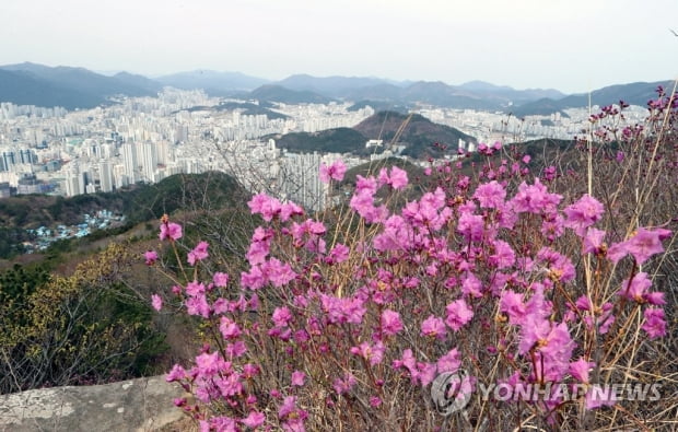 전국 맑고 일교차 커…미세먼지 적어 푸른 하늘