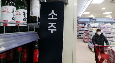 "하이트진로, 맥주·소주시장 점유율 확대 예상…목표가 20%↑"-대신