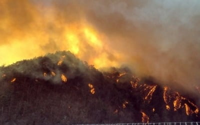 소방청, 울진 산불에 '전국동원령 1호'…"원전 방어에 만전"