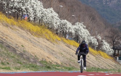 [내일날씨] 전국 흐리고 산발적 빗방울…포근한 봄날씨 지속