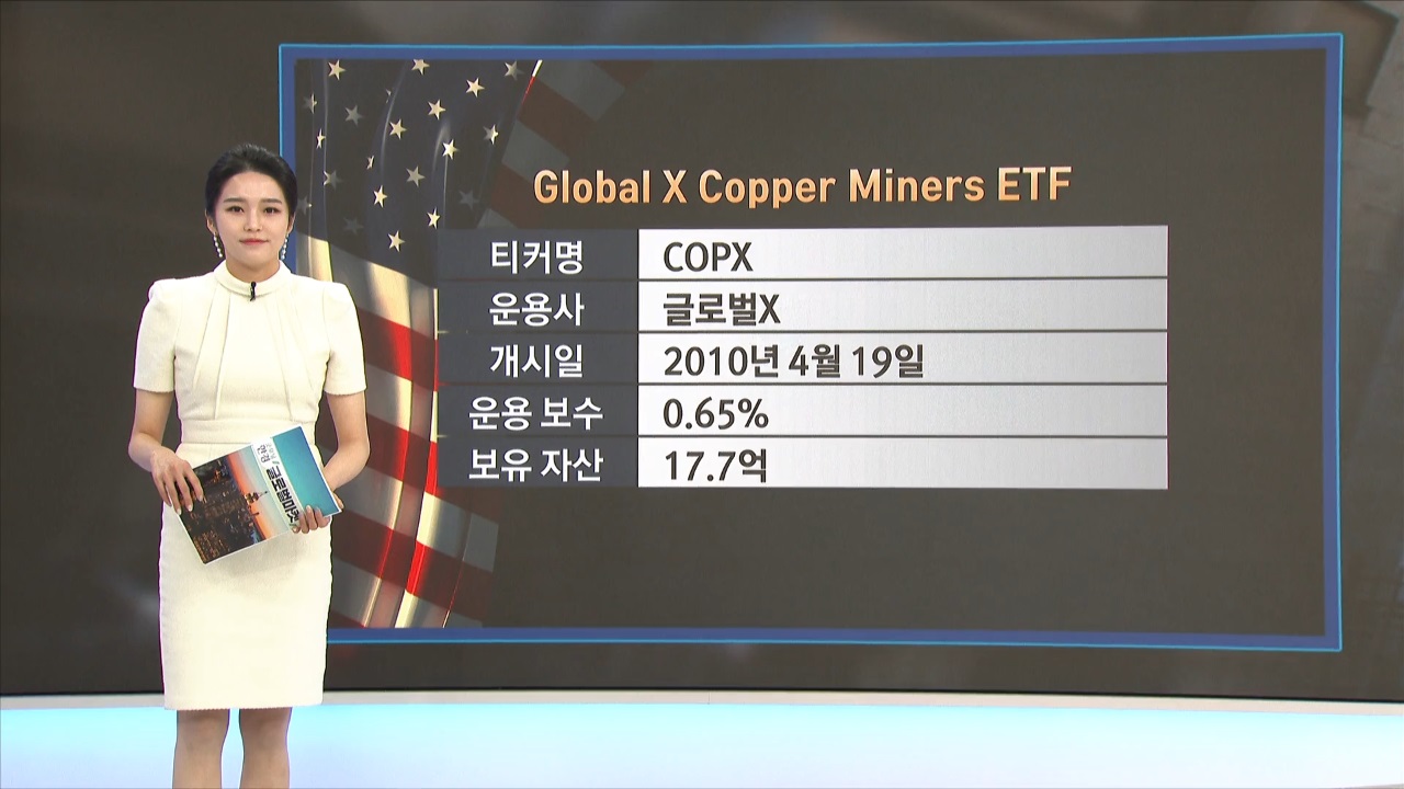 미국증시, 3월 2일 ETF 시황…VIX지수·WTI 관련 ETF 강세