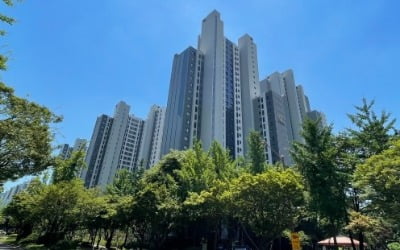 "앉아서 10억 번다"…과천 '로또 줍줍' 아파트에 관심 폭발