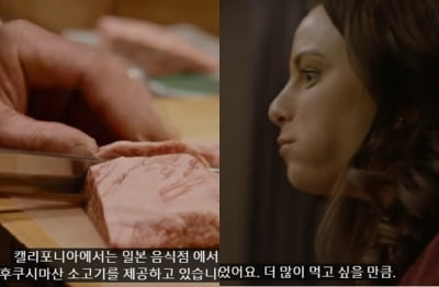 日, 욱일기 이어 또…"후쿠시마산 소고기 맛있어" 광고 '눈살'