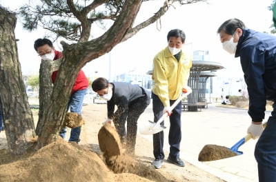 경기 안산시, 식목일인 5일 지역 녹지에 6000주 식재