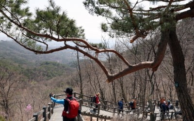 [포토] 54년 만에 전 지역 개방된 북악산