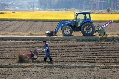 감쪽같이 사라진 농기계…돈 궁한 아들이 범인, 처벌은 안 받아