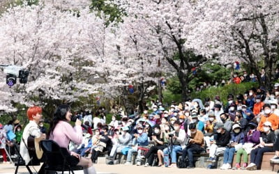 [포토] "2022 벚꽃어게인, 서대문 안산자락길 벚꽃음악회"