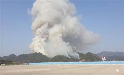 산림청, 강원 양구군 산불 주불진화 완료