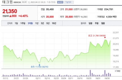 "올해 사상 최대 실적 경신한다"...글로벌 반도체 투자 바람 탄 테크윙