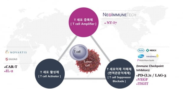 T세포 중심의 면역항암 기전에 따른 역할 구분.