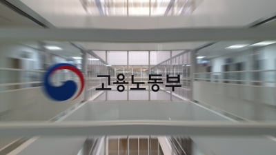 ILO핵심협약 오늘부터 발효…"정치파업 늘고 사법만능주의 심화 우려"