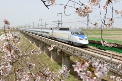 한국철도, 정부 거리두기 해제 따른 여행상품 판매 정상화