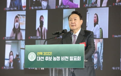 인수위 "실경작자가 농업직불금 못 받는 사각지대 없앤다"