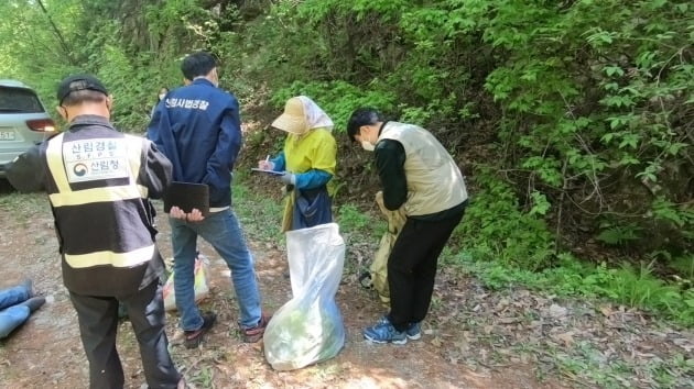 산림특별사법경찰이 산나물 채취 등 산림 내 불법행위를 단속하고 있다. 산림청 제공