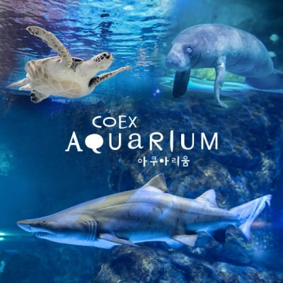 코엑스 아쿠아리움, 영국 테마파크 기업 멀린에 매각