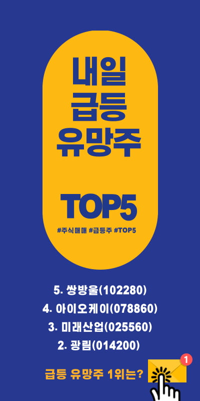 내일 급등 유망주 TOP5 !