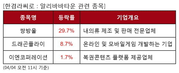 쌍방울,드래곤플라이,이엔코퍼레이션