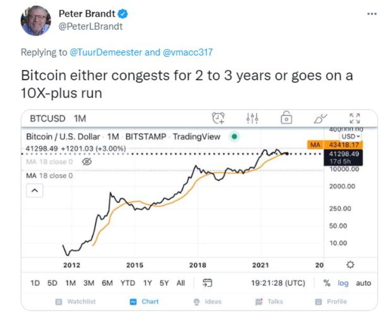 피터 브랜트 "BTC 가격, 10배 이상 상승 가능성 있어"