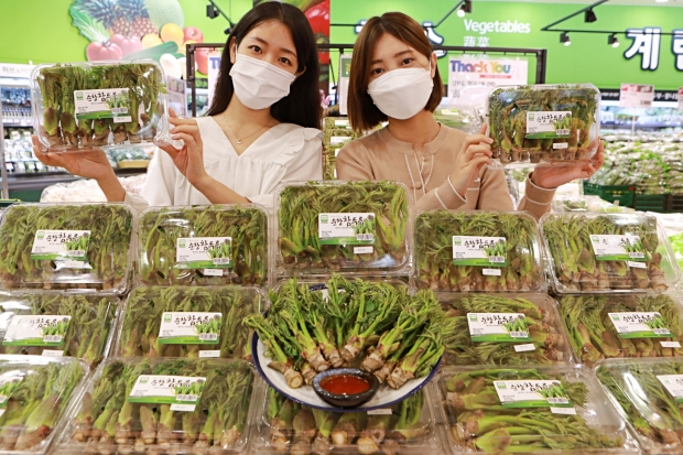 4월에 꼭 맛봐야하는 이것! 제철 참두릅으로 식탁 가득 봄을 담아보세요~