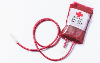 캐나다, 남성 동성애자 헌혈 제한 30년 만에 완전 풀렸다