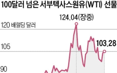 바이든 "푸틴, 전범재판 세워야"…유럽 "러 에너지 수입 말자"