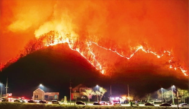 [포토] 주말 전국서 37건 산불…강원 양구 주민 긴급대피 