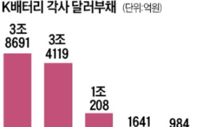 배터리 업계, 외화부채만 13조원…환율 뛸 때마다 이자비용 '눈덩이'