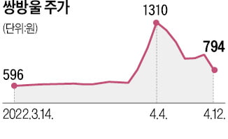 KB증권 '쌍용차 인수 자금조달' 철회…쌍방울그룹株 폭락