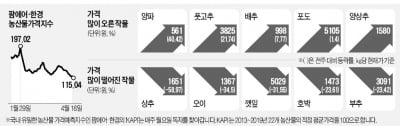 정부 부랴부랴 수급 조절…양파값 오름세