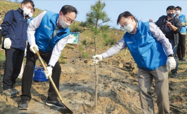 [포토] 손태승 우리금융 회장, 산불 피해 지역 나무심기…1억 지원 
