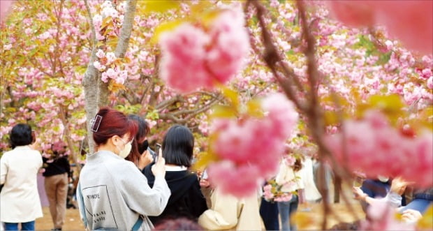 [포토] 경주의 봄 