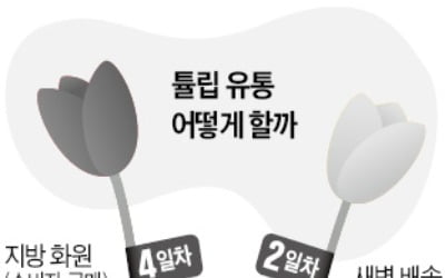 "생화도 새벽배송을"…소박한 욕구 실현시킨 컬리 물류혁신