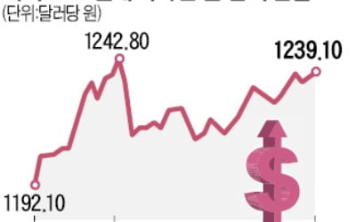 장중 연중 최고치 찍은 환율…당국개입 경계감에 상승폭 줄어