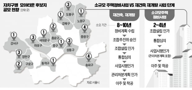 '소규모 뉴타운' 방식…신축 빌라 피하고 실거주 가능해야