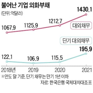 환율 1250원 돌파…기업 180조 외화빚 폭탄 '째깍째깍'