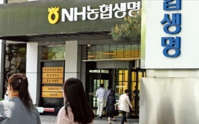 '채권 재분류' 농협생명…금리 뛰자 채권 평가손 급증