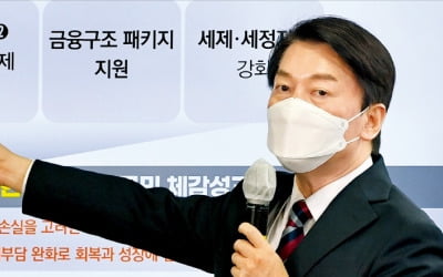 코로나 손실 보상한다며…액수는 안 밝힌 인수위