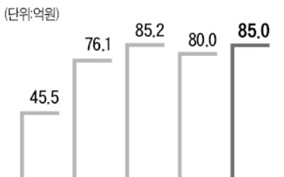 골프장 '홀당 100억' 시대 눈앞…클럽모우CC, 2500억에 팔렸다