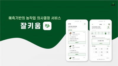 “농업도 데이터로 스마트하게” 애그테크 스타트업 에이아이에스, 팁스 선정